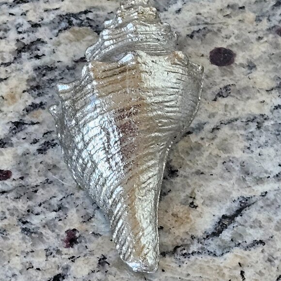 REGINA ANDREW SILVER CONCH SHELL COASTAL BEACH VASE FILLER HOME TABLE DECOR - Picture 5 of 7
